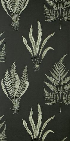 a black and white wallpaper with fern leaves on it