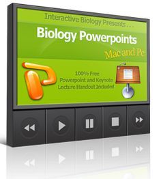 an image of a computer screen with the words biology powerpoints and ppe on it