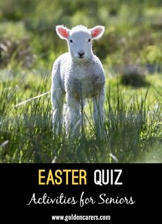 a sheep standing in tall grass with the text easter quiz activities for seniors