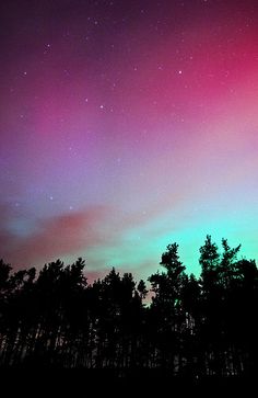 the sky is filled with bright green and pink lights, while trees are silhouetted in the foreground