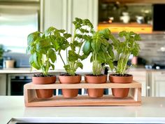 four potted plants are sitting on a wooden tray in the middle of a kitchen