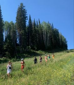 a group of people walking up a hill in the grass with trees on both sides