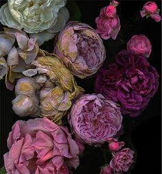 a bunch of flowers that are sitting in the middle of some kind of flower arrangement