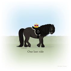 a black horse with a crown on it's head is standing in the grass