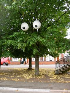 a tree with two eyes on it in front of a red car and steps leading up to the trees