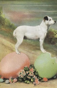 a white dog standing on top of an egg next to other eggs and flowers in front of a painting