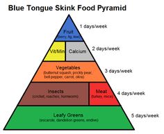 the food pyramid is labeled with different foods