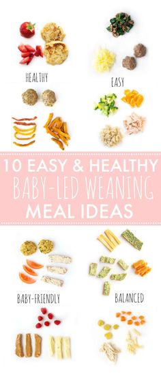 the top ten healthy baby - led meal ideas for babies and toddlers to eat