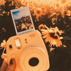 someone holding up a polaroid camera in front of sunflowers