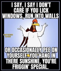 a cartoon character with an angry bird on it's head and the caption says, i say, i don't care if you lick windows, run into walls or occasionally