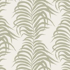 a green and white wallpaper with large leaves on the back ground, in shades of grey