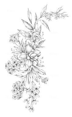 a pencil drawing of flowers on a white background