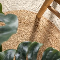 a chair sitting on top of a rug next to a green leafy plant in front of a wooden bench