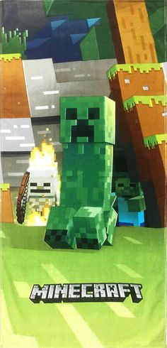 an image of a minecraft poster