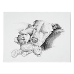 a black and white drawing of a dog sleeping next to a teddy bear