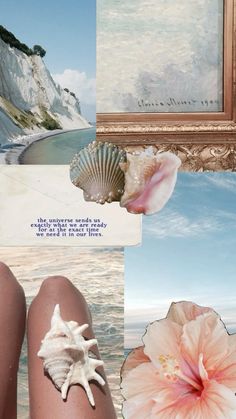 a collage of pictures with flowers and seashells on the bottom right side