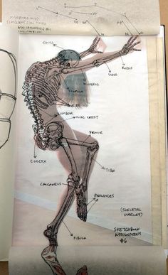 an open book with a drawing of a human skeleton on it's back side