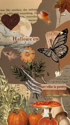 a collage of pumpkins, flowers, and butterflies with the words halloween written on them