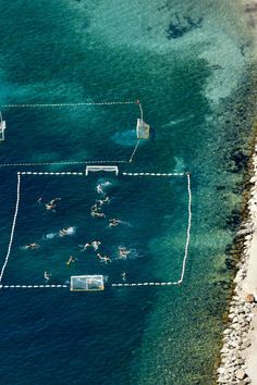 an aerial view of people swimming in the ocean