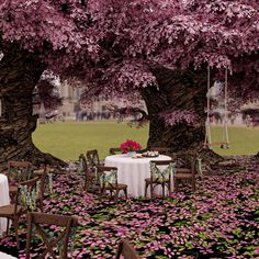 an outdoor dining area with purple flowers on the ground and tables set up under trees