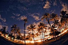 palm trees are silhouetted against the night sky in this time lapse photo taken by a camera