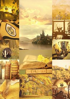 a collage of photos with yellow and brown colors in the background, including an open book