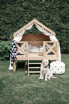 a dog sitting in front of a wooden bed with white curtains on it's roof