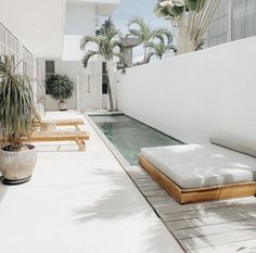 an outdoor swimming pool with lounge chairs and potted palm trees in the foreground