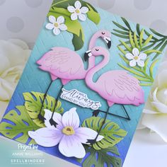 two pink flamingos standing next to each other on top of a blue and white card