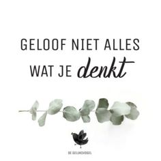 a quote with leaves and a bird on the left hand corner that says, geloof net alles wat je denkt