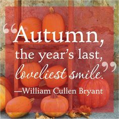 an autumn quote with pumpkins and leaves