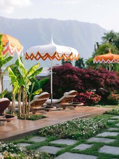 some lawn chairs and umbrellas in the grass