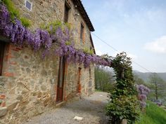 an old stone building with purple flowers growing on it