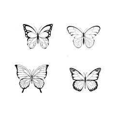 four butterflies are shown in black and white