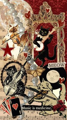 an altered collage with cats and musical instruments on it's sides, including the caption meow music is medicine