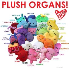 a bunch of stuffed animals with the words plush orgasms on it's side