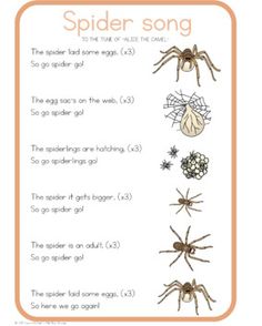 spider song worksheet for kids to learn how to spell the words in english