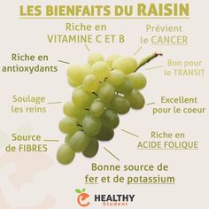 La saison des raisins se termine tout doucement, mais voici tout de même ses différents bienfaits. A privilégier BIO comme d'habitude ! | Healthy Student par Valentin Loiseau, Facebook Foods That Contain Calcium, Healthy Potatoes, Well Balanced Diet, Nutrition And Dietetics, Healthy Benefits, Optimum Nutrition, Healthy Food Choices, Proper Nutrition