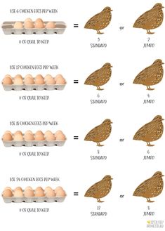 an image of eggs in cartons with birds on them and numbers for each egg