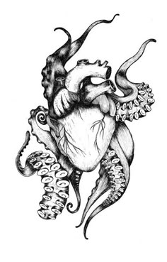 an ink drawing of a heart with tentacles attached to the side, and two heads on each