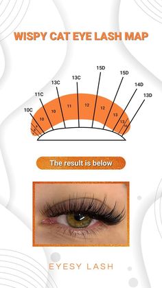 Lash Map Blank, Lash Tech Aesthetic Wallpaper, Cat Eye Lash Map, Lashes Map, Lash Guide, Cat Eye Lash Extensions, Lash Practice, Wispy Cat Eye, Lash Maps