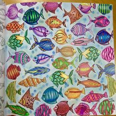 an open coloring book with colorful fish on it