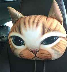 an orange and white cat's head is on the back seat of a car