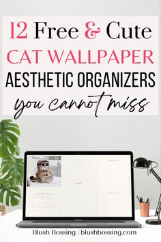 a laptop with the text 12 free and cute cat wallpaper aesthetic organizers you cannot miss