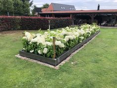 a large garden with white flowers in it