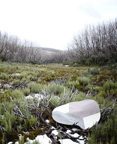 a broken mirror sitting in the middle of a forest filled with grass and trees covered in snow