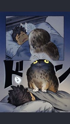 an owl laying on top of a bed next to a person in the middle of it