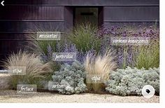 an image of different types of plants in front of a building with words describing them