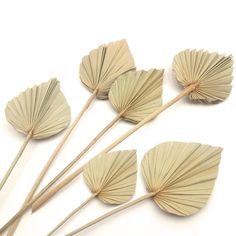 PRICES MAY VARY. PACKAGE: Each bouquet comes with 6 Pcs dried natural palm tree leaves and the size of palm leaf is about 4.8"W x 15.3"L. Each dried palm is packaged very well. No need to worry about bent or broken flower bouquet DIY BOHO DECOR: As the ideal gift for the bohemian lover, dried fan palms are perfect decoration for boho living room, house, tropical party, hotel, cafes, shop, wedding, new year, Christmas, bar, festival, evening. You can use them to decorate vases, floral decor, trop Palm Leaf Decor, Dried Palm Leaves, Artificial Palm Leaves, Tropical Wedding Decor, Hawaiian Party Decorations, Boho Decoration, Tropical Wedding Flowers, Diy Boho Decor, Palm Plant