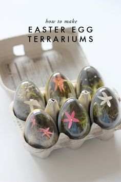 an egg carton filled with painted eggs and the words how to make easter egg terrariums